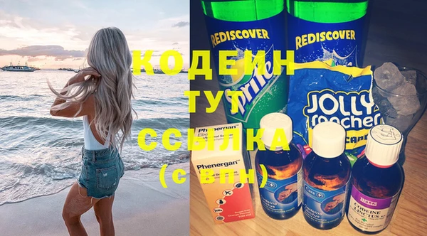 ГАЛЛЮЦИНОГЕННЫЕ ГРИБЫ Лагань
