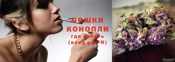 ГАЛЛЮЦИНОГЕННЫЕ ГРИБЫ Лагань