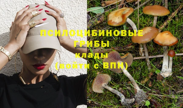 mdpv Куйбышев