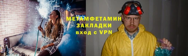 ГАЛЛЮЦИНОГЕННЫЕ ГРИБЫ Лагань