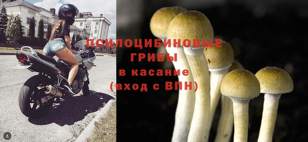 ГАЛЛЮЦИНОГЕННЫЕ ГРИБЫ Лагань