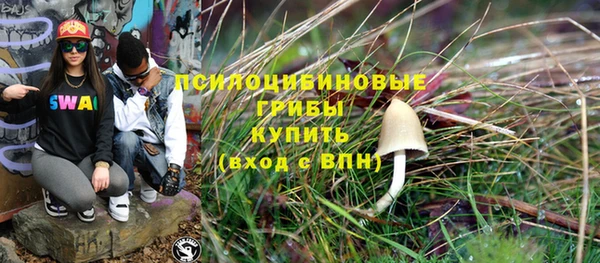 бутират Ладушкин