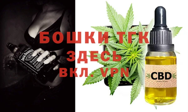ГАЛЛЮЦИНОГЕННЫЕ ГРИБЫ Лагань